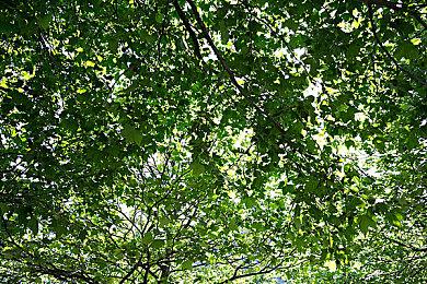 PS5推出新版本系统升级 支持1440p分辨率输出