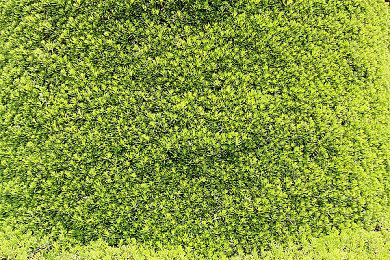 Fami通新作评分：《忍者外传：怒之羁绊》仅获32分！